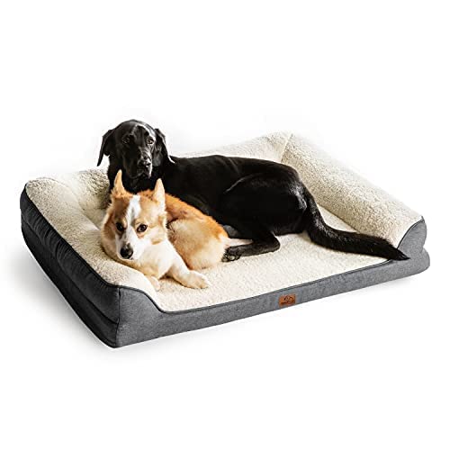 Amazing 13 Anti Chew Dog Beds Keep Your Pup Safe!