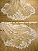 EllieWely Long Cathedral Length 1 Tier Lace Wedding Bridal Veil F17 3 M Ivory