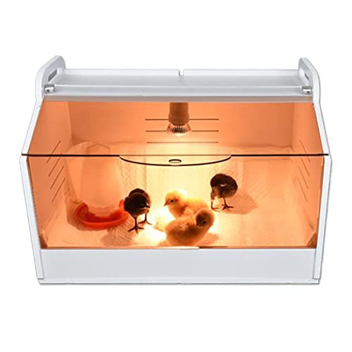 Boîte d'élevage de poussins, 220 V, avec lampe chauffante et thermomètre, pour élevage de reptiles, volailles, incubateurs pour volailles, reptiles et...