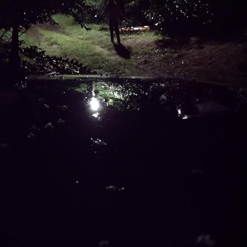 How to watch crape myrtle flowers fall like rain w/ Be Not Afraid