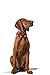 HUNTER Swiss Verstellbare Führleine für Hunde, Leder, hochwertig, Schweizer Kreuz, 1,8/200 cm, rot & Swiss Hundehalsband, Leder, hochwertig, Schweizer Kreuz, 65 (L), rot/schwarz
