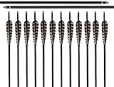 ARCHERY SHARLY 31Inch Carbon Targeting Practice Arrows Turkey Feather Fletching Arrows with...