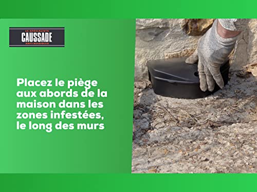 Raticide Canadien Caussade à efficacité radicale en une seule ingestion - 6