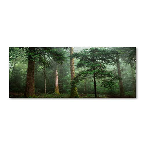 Fond de hotte verre de sécurité trempé 125x50 vert paysage