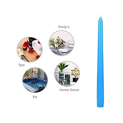 Zest Candle 12-Piece Taper Candles, 10-Inch, Light Blue #TOP5
