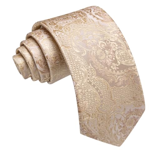 Image of Barry.Wang Paisley Tie for Men Silk Woven Necktie and Tie Clip Set Wedding Party Business Formal
