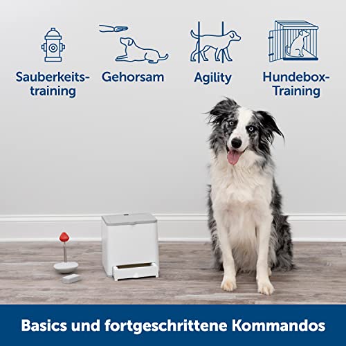 PetSafe Teach und Treat Ferngesteuerter Belohnungstrainer für Hunde, Training und Positive Verstärkung, 4 D Batterien nötig, Grau.