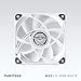 Phanteks M25-120 D-RGB Fan, High-Airflow Radiator Performance, PWM Control up to 2000RPM, ARGB/DRGB Lighting, Daisy-Chain Cable, White