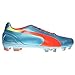 PUMA Men's Evospeed 3.2 Firm Ground Soccer Shoe