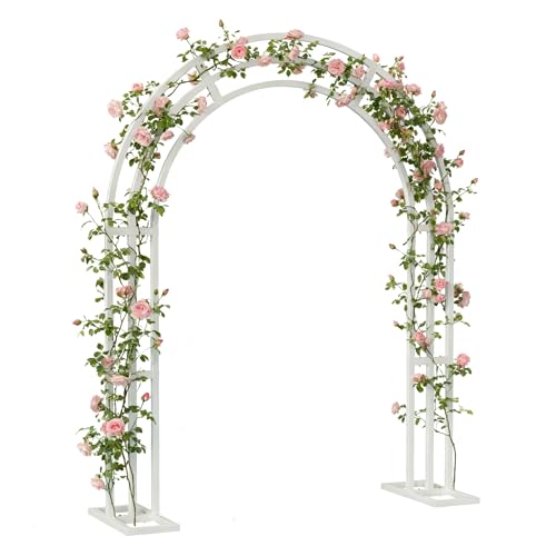 Susire K[fA[`  ^ ACA t[A[` Q[g   K[fjO O  | [YA[` o U S zCg 傫TCY EFfBOA[`