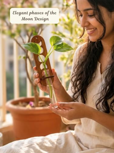 Image of Bombay Greens Wall Hanging Moon & Lunar Phase Planter with Wooden Holder & Rope | Test Tube Hanging Planter | Wooden Stand for Home Decor, Living Room, Balcony & Office Decoration