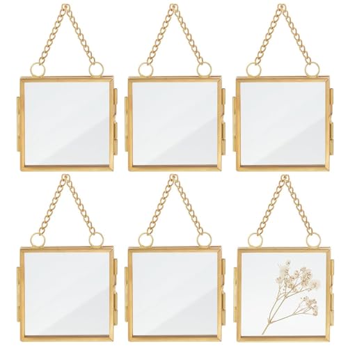Cadre de fleurs séchées sous verre double pour décoration murale et herbier - 6 images