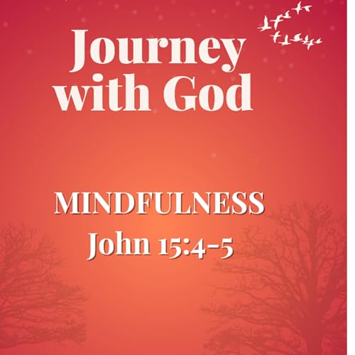 MINDFULNESS cover art