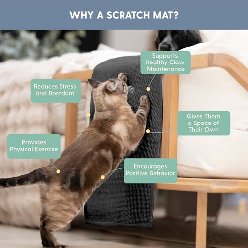 Image of The Cat Ladies Cat Scratch Furniture Protector Mat - Couch Protector from Claws - Anti Scratch Furniture Protectors from Cats Scratching - Sisal Scratcher Pad - Dark Grey