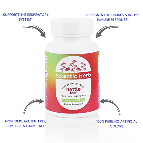 Eclectic Institute Raw Freeze-Dried Non-Gmo Nettle Leaf | Healthy Sinus Support, Histamine Response & Respiratory Wellness | 90 Ct #TOP3
