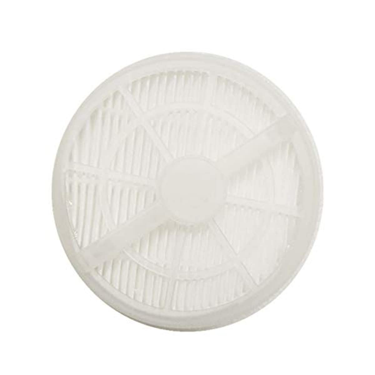 Buy RIGOGLIOSO Portable Air Purifier,Air lonizer,USB Air Cleaner, True