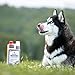 NEU! EWALIA Nervensaft für Hunde - Beruhigung und Balance für Ihr Haustier in stressigen Zeiten - mit Tierärzten entwickelt, 100% Natur pur, frei von Zusätzen, zertifizierte Inhaltsstoffe - 500ml