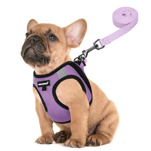FAYOGOO Service Dog Vest for Small Breed - Lightweight Dog Harness with 6PCS Removable Patches - Puppy Harness and Leash Set for Walking,Training