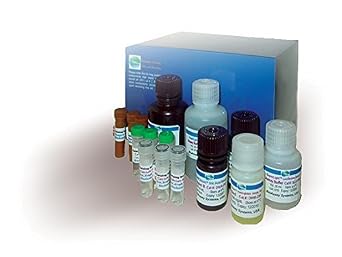 POPB-500 - Phosphate Assay Kit - PiBlue Pho Phosphate Assay Kit, BioAssay Systems - Each