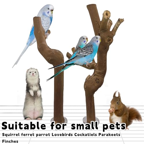Image of Hamiledyi Bird Perch Natural Wooden Parrot Stand Branch Grapevine Wood Perch Bird Chewing Stick for Small Lovebirds Cockatiels Parakeets Finches(2 PCS)