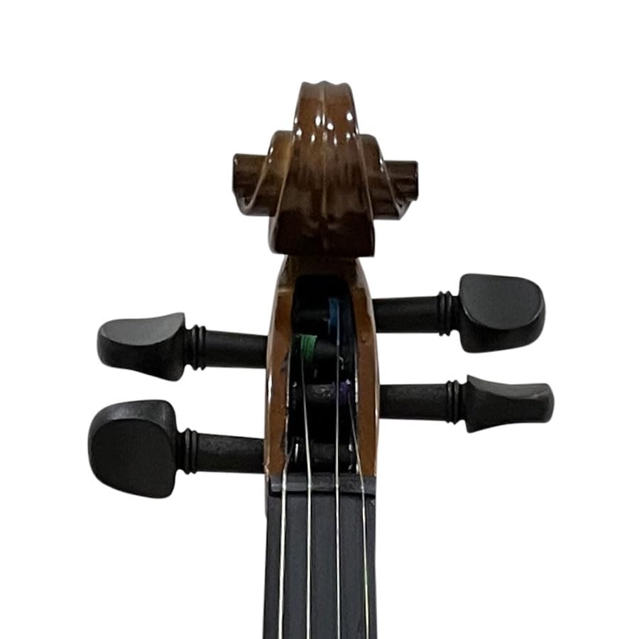 STENTOR Violin Outfit 4/4 1016A : Amazon.in: Musical Instruments