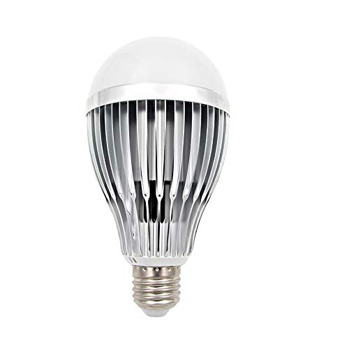 Fulight Full-Spectrum A21 LED Light Bulbs- 12W (100W Equivalent), Daylight White 6000K, E27 Medium Base - for Reading, Kids Room, Makeup, Food Stores, Studio, Artworks & Medical Lighting