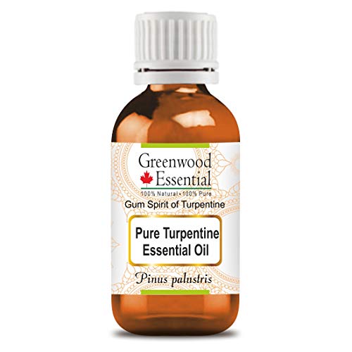 Image of Greenwood Essential Turpentine Essential Oil (Pinus palustris)-Gum Spirit of Turpentine Pure | Non-Sticky | Non-greasy | Lightweight | Men & Women | All Skin Types | Steam Distilled 100ml