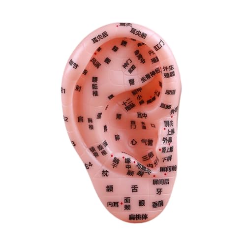 misppro Human Ear Acupoint Model PVC Auricular Acupoint Massage Practice Tool for Nursing Demonstration and Teaching Aid 3.94x6.89 Inch