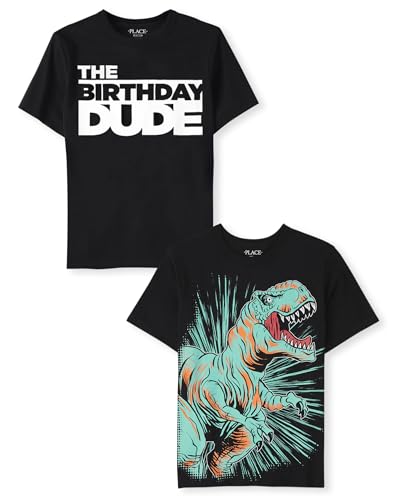 The Childrens Place Boys Assorted Everday Short Sleeve Graphic T-Shirts Multipacks Bday Dude/Dino 2-Pack Medium