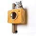 BIG NOSE- Wall Mounted Cat Condos Tree House