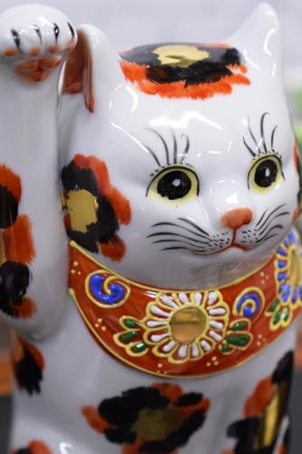 �a���̑� ���킢�� �����L �u�� ��J�� 6�� �E�菵���L ���O�� ���� �J�^ �C���e���A ���� �a�� ���� �a�����v���[���g �J�X�j�� �V�z�j�� �җ�j�� �Ê�j�� ����j�� �Ď��j�� �M�t�g