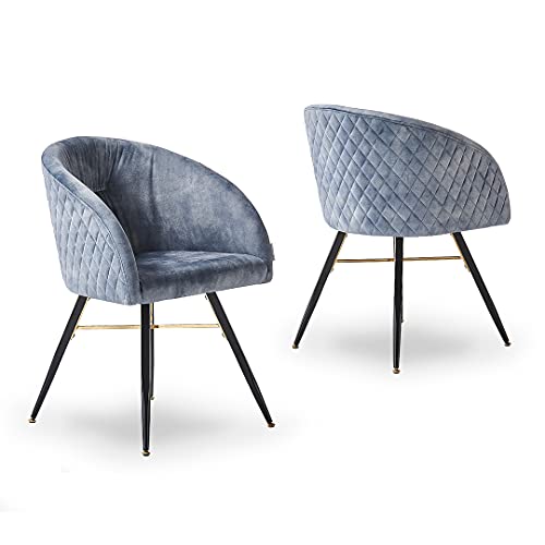 Life Interiors EVA - Fauteuil Chaise de Salle à Manger - Finition Tissu Velours - Pieds Noirs et Dorés en Acier Inoxydable - Style Scandinave… (Gris, 1) Cover