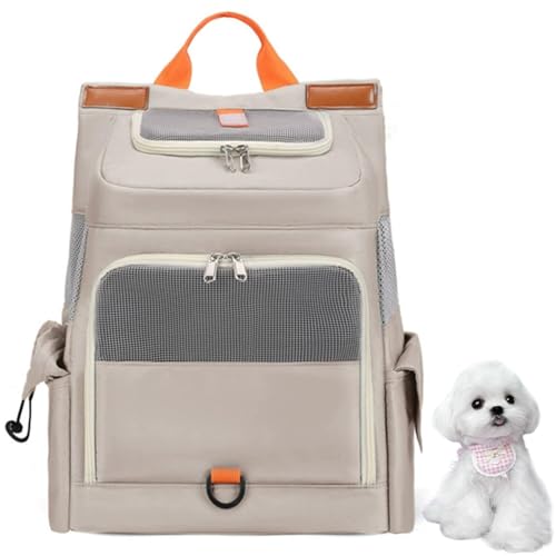 Lifetips}`[YiMaltesejybgbN L[ ʋCbV J[et y ˃e[v яoh~ h  @\ bN^ybgL[ ^ ^ L s ʉ@ ] d [|Pbgt ܂肽 g