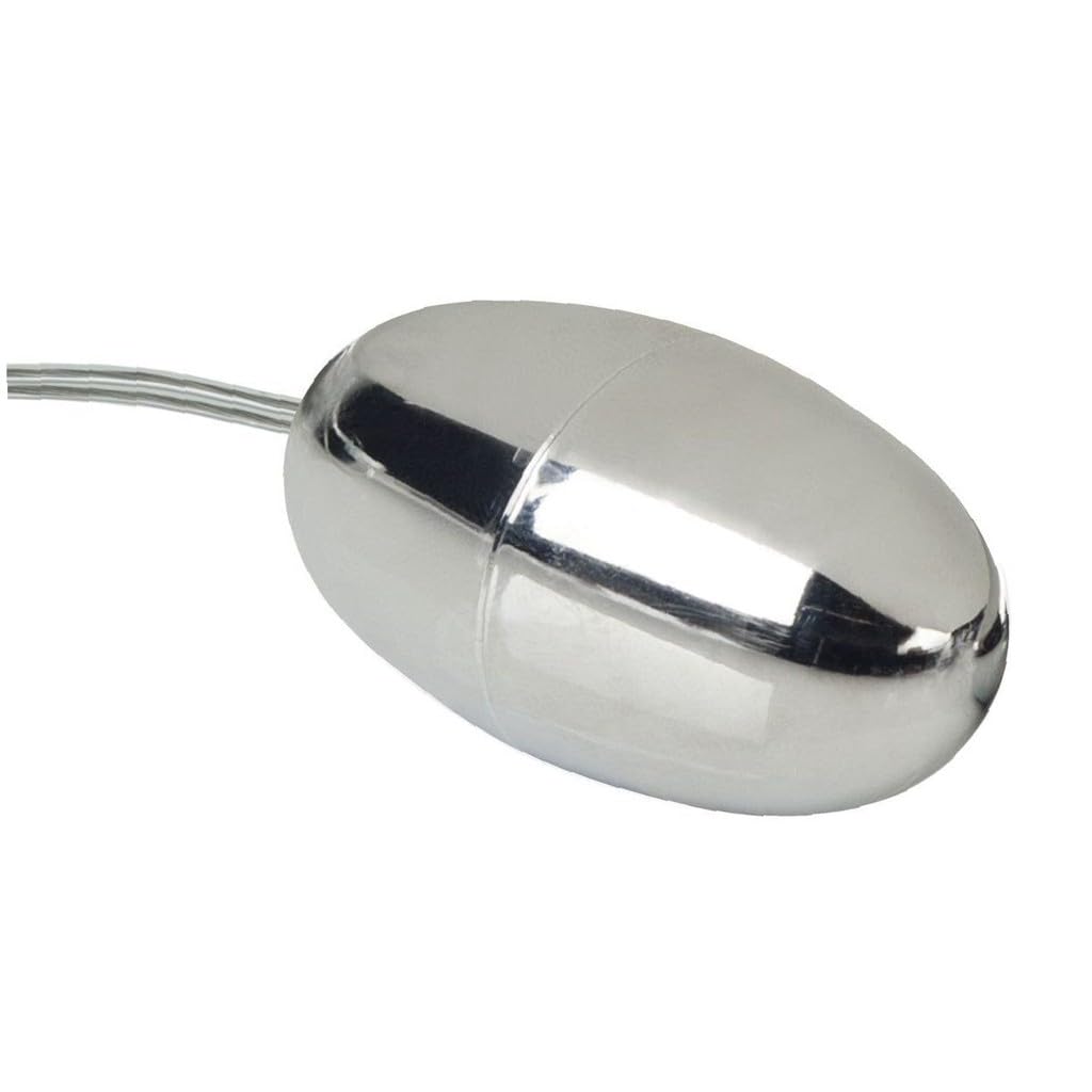Amazon.com: Silver Bullet Egg Anal Vibe Beginner Vibrator Sex Toy : Health  & Household
