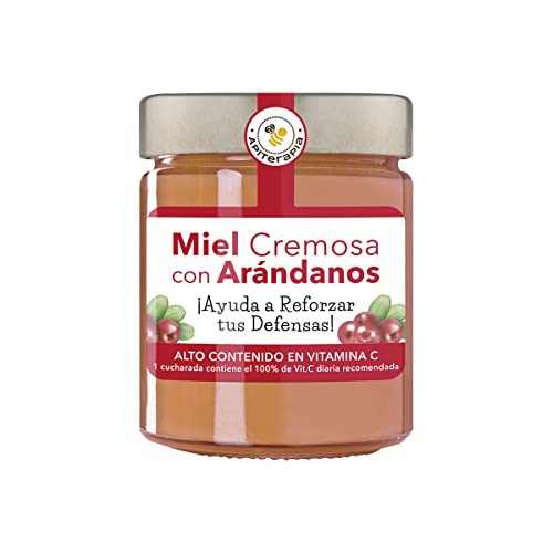 MIEL CON ARANDANOS - TARRO 250G