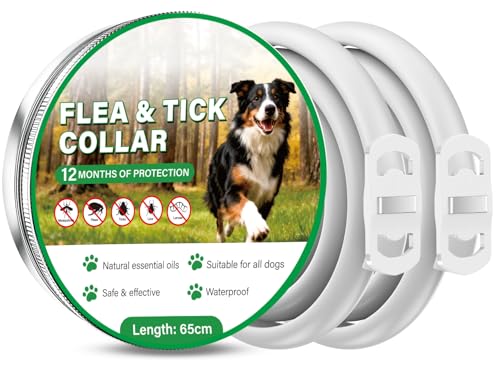 Collar Antiparasitario Perros 2 Unidades, hasta 12 Meses de Protección Prolongada, Collar Antipulgas y Garrapatas con Aceites Esenciales Naturales, 65 cm Ajustable Impermeable para Todos los Perros