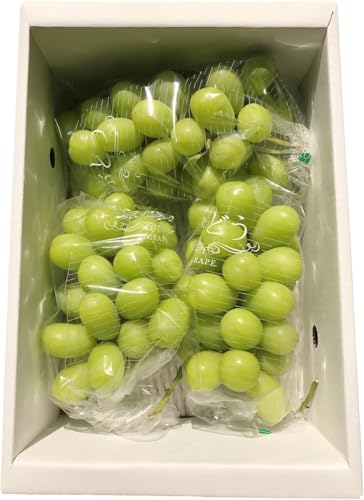 [2026年発送]山形のぶどう(ご家庭用訳ありシャインマスカット)約2kg(2〜10房)_H196(R8)