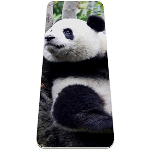 Eslifey Cute Panda Baby Climbing Tree Yoga Mat Thick Non Slip Yoga Mats for Women&Girls Exercise Mat Soft Pilates Mats,(72x24 in, 1/4-Inch Thick)