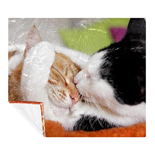 Couvertures en microfibre imprimées chat pour un cadeau d'anniversaire - 2