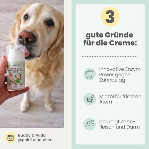 noms+ Enzymodent Enzymatische Hundezahnpasta mit natürlicher Pflege- und Präventionsformel gegen Mundgeruch und Zahnstein beim Hund