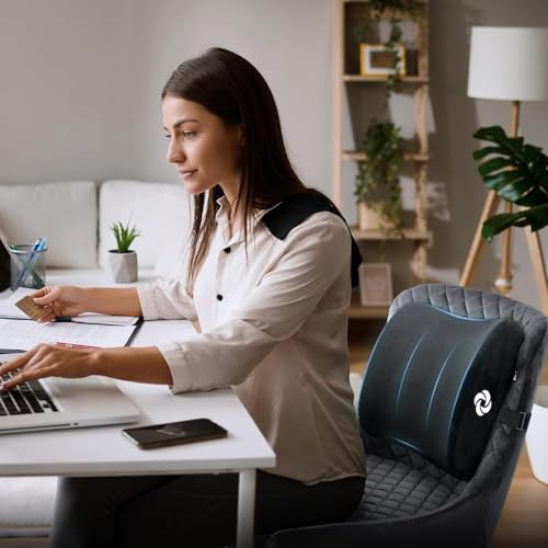 Image of Samsonite Lumbar Support Pillow for Office Chair and Car Seat, Perfectly Balanced Memory Foam, Versatile Use Lower Back Cushion, Black Plush