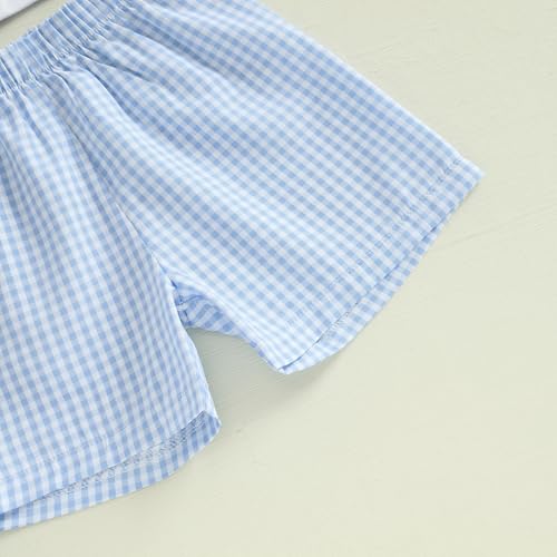 Image of Toddler Baby Boy Easter Rabbit Outfit Short Sleeve Bunny Carrot Smocked T-shirt Elastic Waist Shorts Summer Clothes