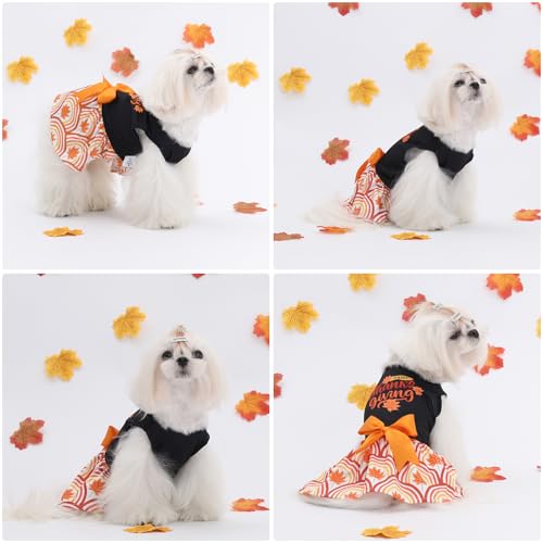 Image of CuteBone Dog Mesh Dress Thanksgiving Puppy Sundress Pet Outfit Summer Fashion for Small Dogs Girl Cat Clothes
