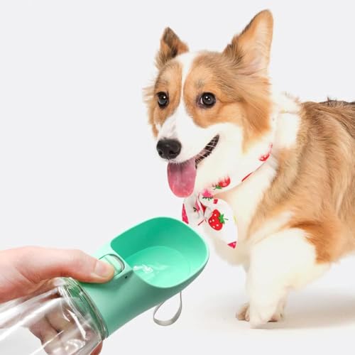 Newaner 550ML Hundewasserflasche, auslaufsicherer tragbarer, grün