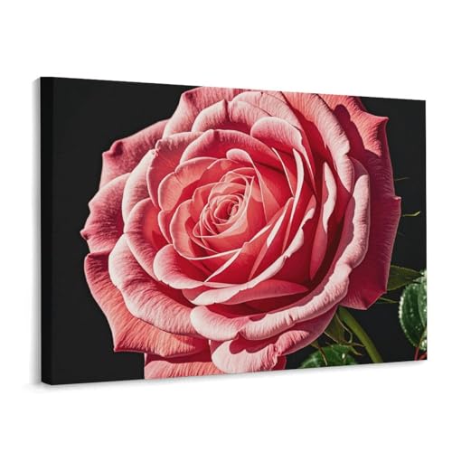 Décoration murale de Noël motif de roses pour chambre cocooning
