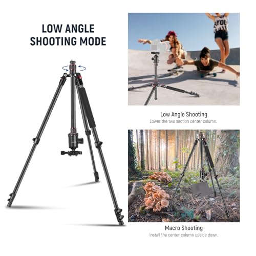 Image of NEEWER 77 inch Camera Tripod Monopod with Phone Holder, Portable Travel Tripod with Remote, 360 Ball Head, 2 Axis Center Column, Arca QR Plate and Bag, Aluminum DSLR Tripod 34lb Max Load, TP77