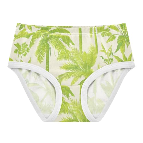 GuoChe Cotton Briefs Breathable Panties Comfort Underwear for Kid in Sizes 2T,3T, 4T, 5T, 6Y and 8Y