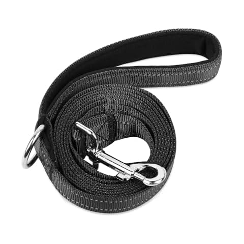 PWOD Double-Sided Reflective Nylon Dog Leash, 4 FT/5 FT/6 FT, Soft Padded Handle Heavy Duty Dogs Leashes with D Ring for Medium and Large Dogs Walking/Training,(New Black-A, 6FT) Cover
