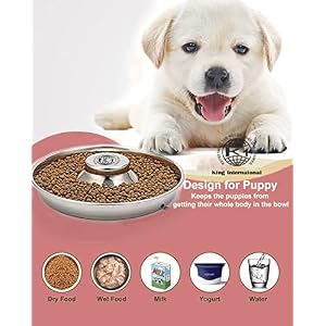 Puppy Bowls for Litter, 3 Puppy Food Bowl, Stainless Steel Puppy Feeding Bowls, Puppy Mush Bowl,11.5'', Food Feeding Puppy Weaning Bowl for Small Medium Large Pets, Puppy Feeder Bowl, Puppy Saucer Puppy Bowls for Litter, 3 Puppy Food Bowl, Stainless Steel Puppy Feeding Bowls, Puppy Mush Bowl,11.5”, Food Feeding Puppy Weaning Bowl for Small Medium Large Pets, Puppy Feeder Bowl, Puppy Saucer