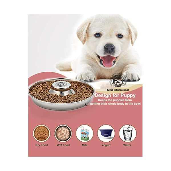 King International Stainless Steel 2 Puppy Bowls,Puppy Food Bowl,Puppy Bowls for Small Dogs,11.4”,Puppy Bowl,Puppy Supplies,Puppy Feeder,Puppy Feeding Bowls for Litters King International Stainless Steel 2 Puppy Bowls,Puppy Food Bowl,Puppy Bowls for Small Dogs,11.4”,Puppy Bowl,Puppy Supplies,Puppy Feeder,Puppy Feeding Bowls for Litters